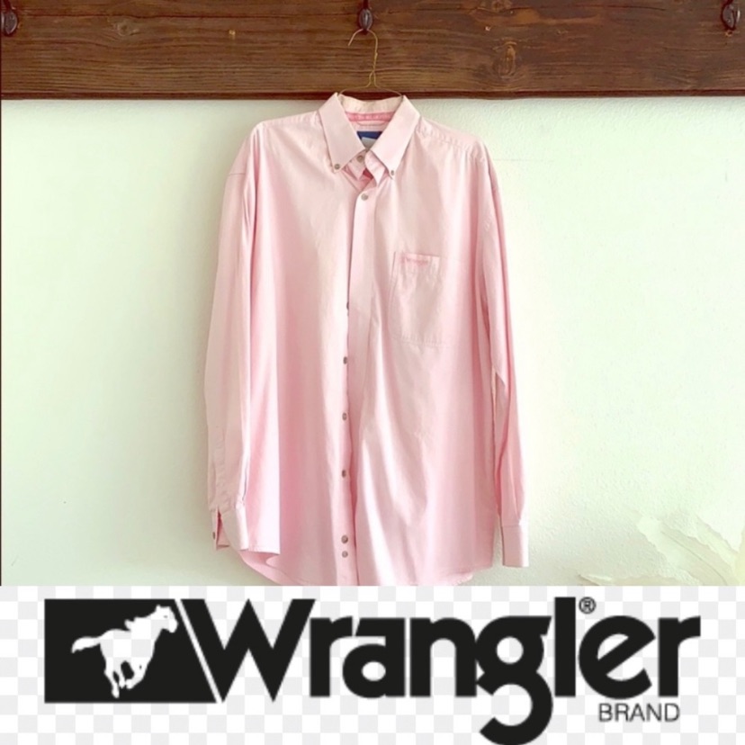 Button Up Wrangler Euc